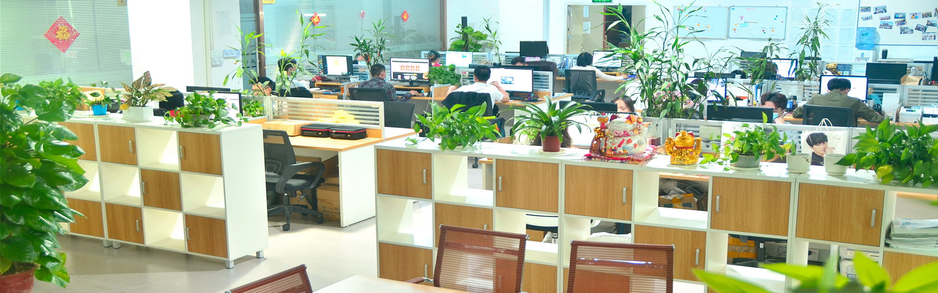 About MineMedia